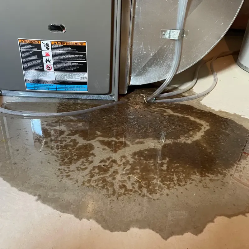 Appliance Leak Cleanup in Westernport, MD